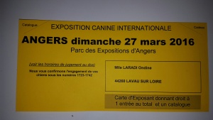 carte d'exposant