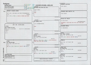 Pedigree Lyp