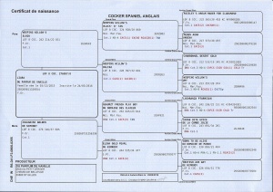 certificat naissance Liara