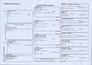 certificat naissance Liara