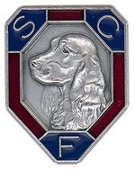 spaniel-club-francais