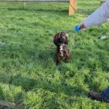 60221531-2b62-48db-8421-ab21ad45e0fa