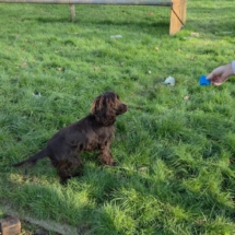 709318f4-214f-4e2c-a7c6-79fafe9443ec