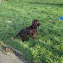 e77e0198-0f94-4fd4-9330-d73e59ee03a7